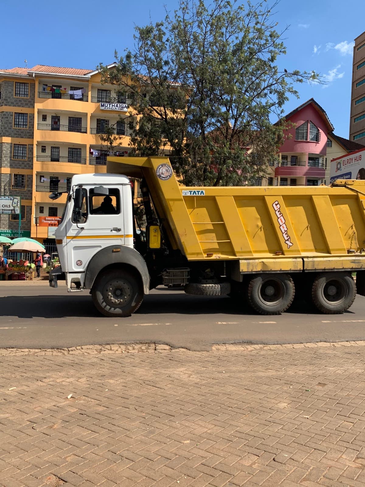 Dump Truck Machinery Operator